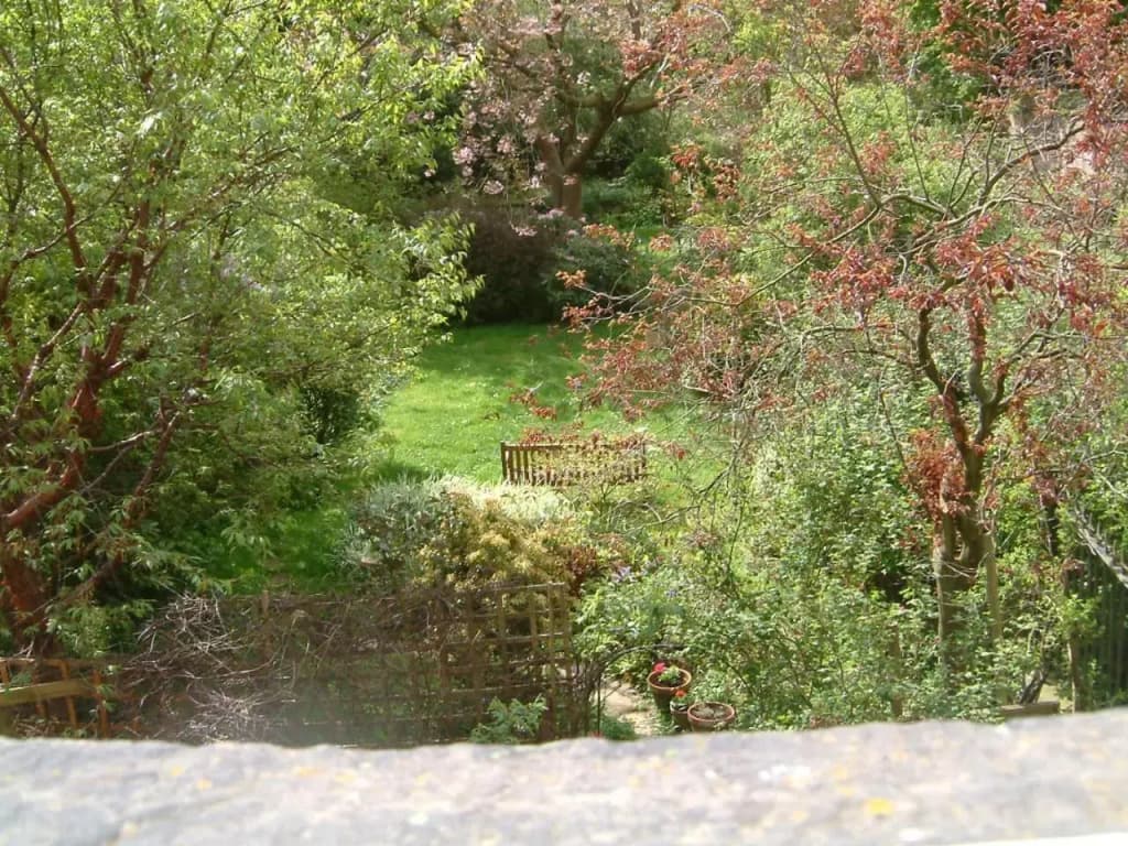 Terrace Hotel - photo 21
