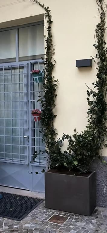 White Navigli - photo 10
