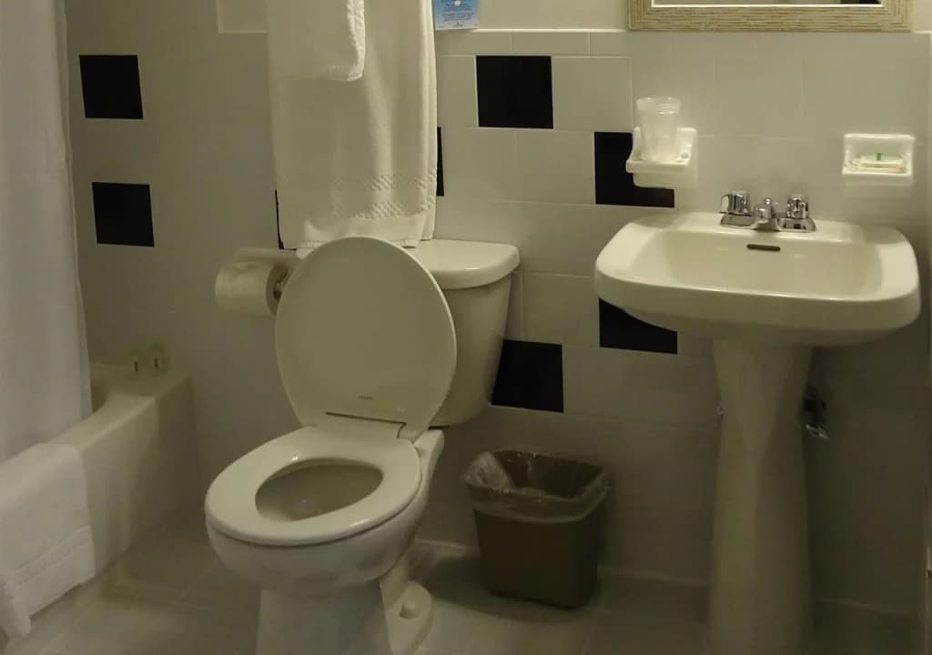 Wolcott Hotel - photo 10