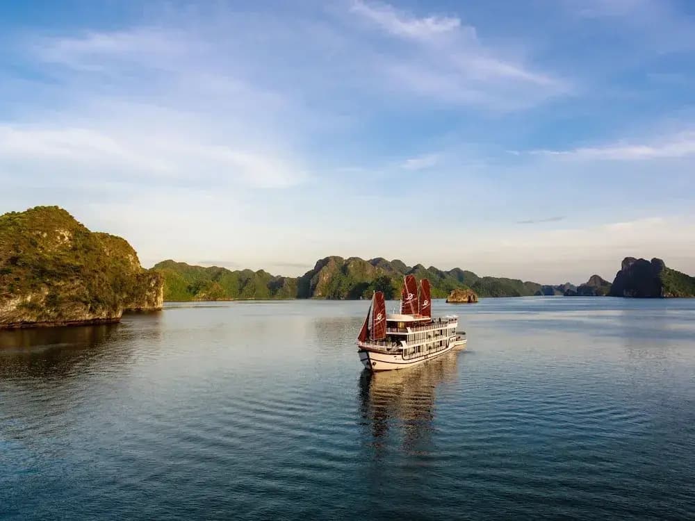 V'Spirit Cruises - photo 18