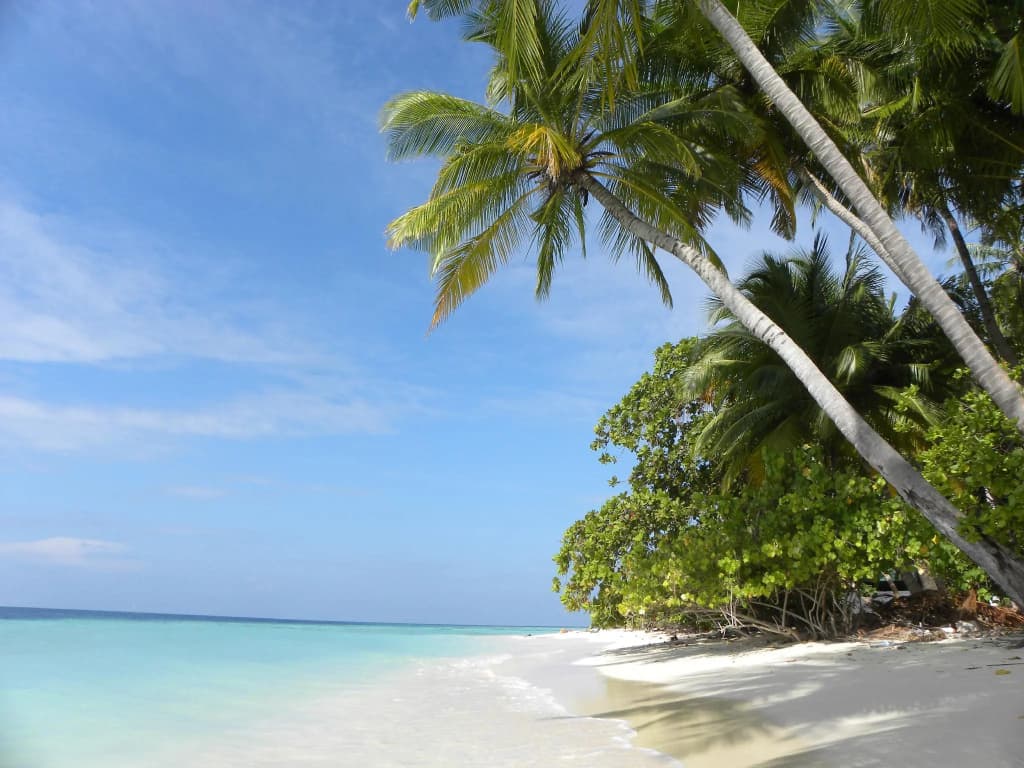 Vaali Maldives Island Escapes & Dive Guest House - photo 17