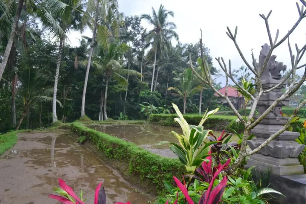 Srijaya Ubud - photo 22