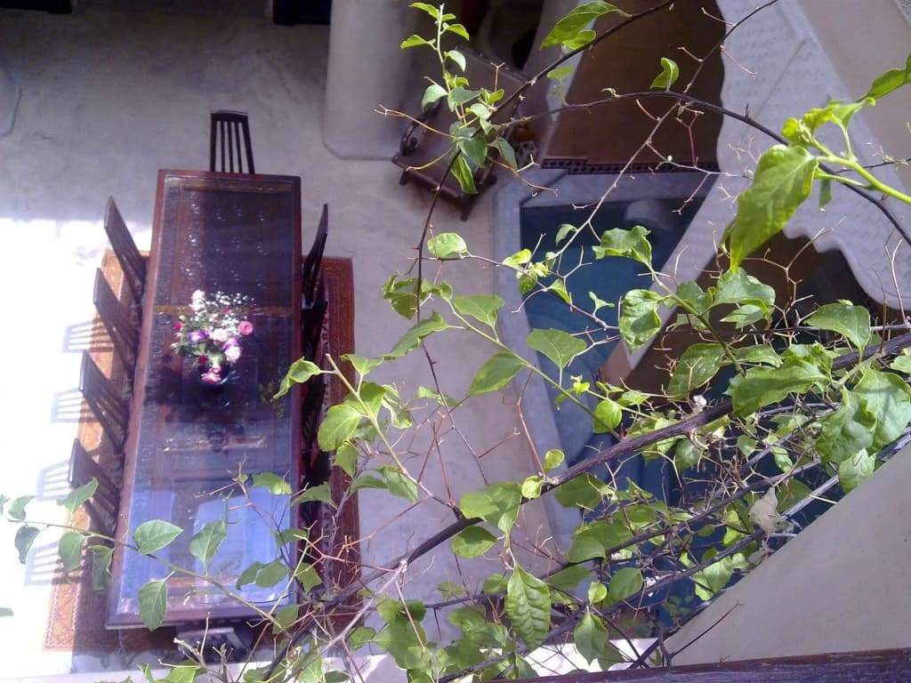Riad Lorsya - photo 23