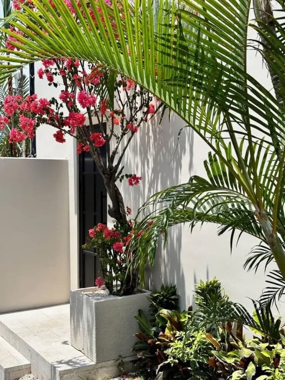Vesna Townhouse 1 - photo 28
