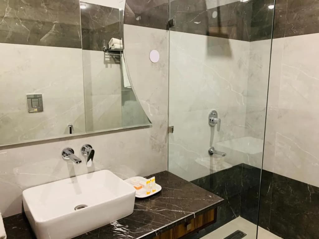 Hotel Sunstar Grand - photo 25