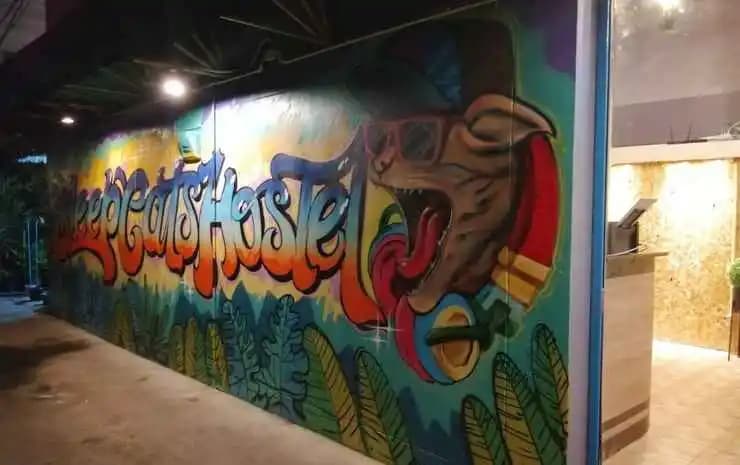 Sleepcats Hostel - photo 14