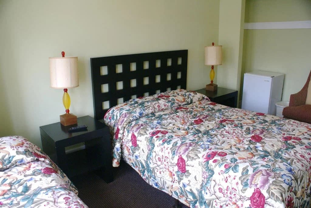 Dakota Hostel and Hotel - photo 6