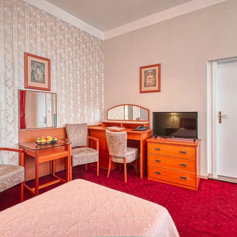 Hotel Salvator - photo 41