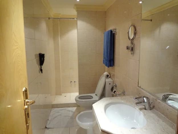 Qatar Palace Hotel - photo 8