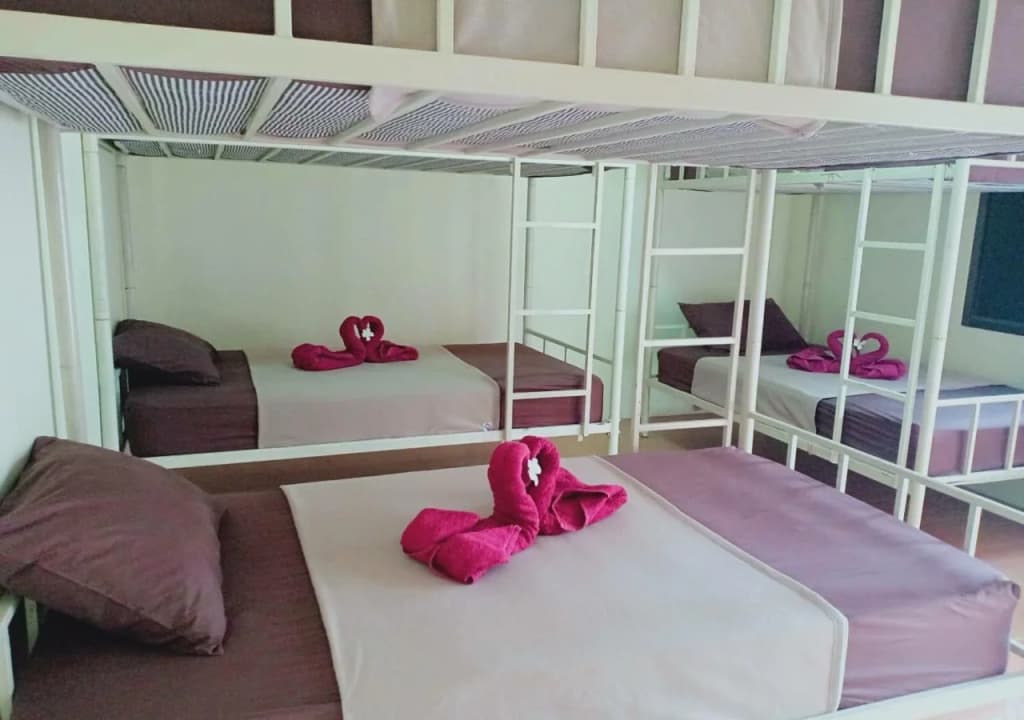 Oasis Hostel - main photo