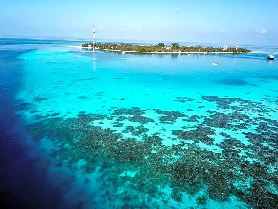 Daisy Cottage Dhangethi - photo 8
