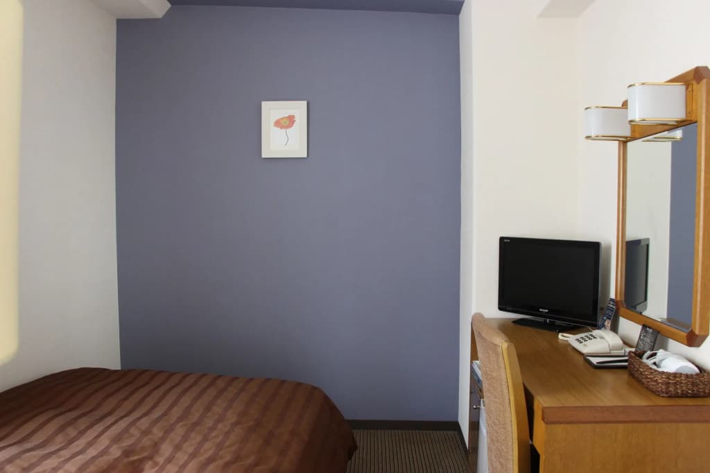 Ueno First City Hotel - photo 7