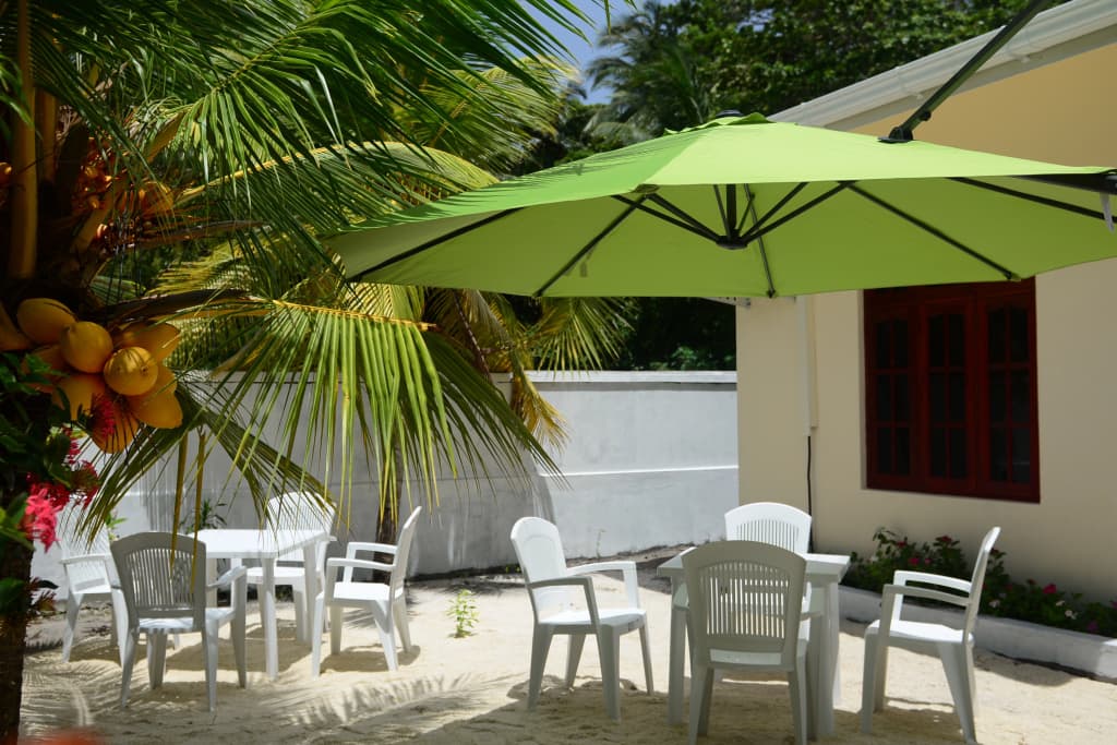 Maclura Residence Guest House - photo 5
