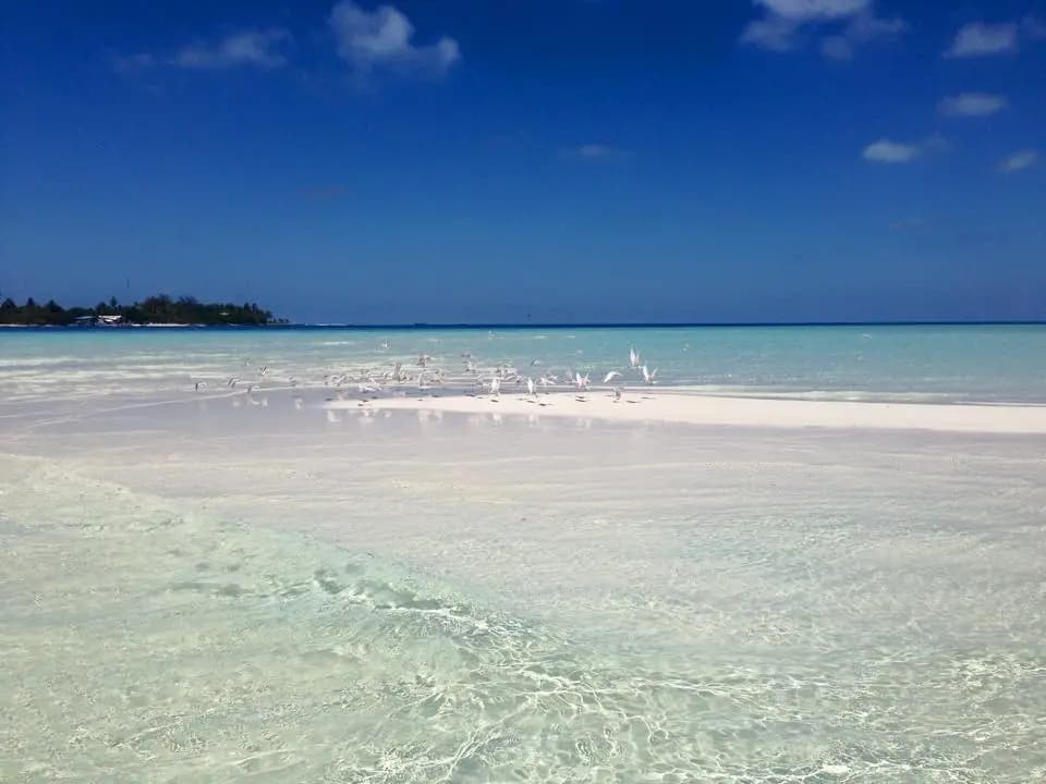 Holiday Grand Maldives Guest House - photo 9
