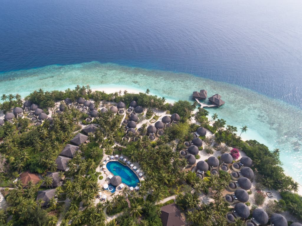 Bandos Maldives Resort - photo 19