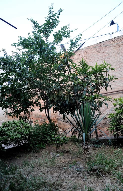 Old Vera Apartments - photo 25