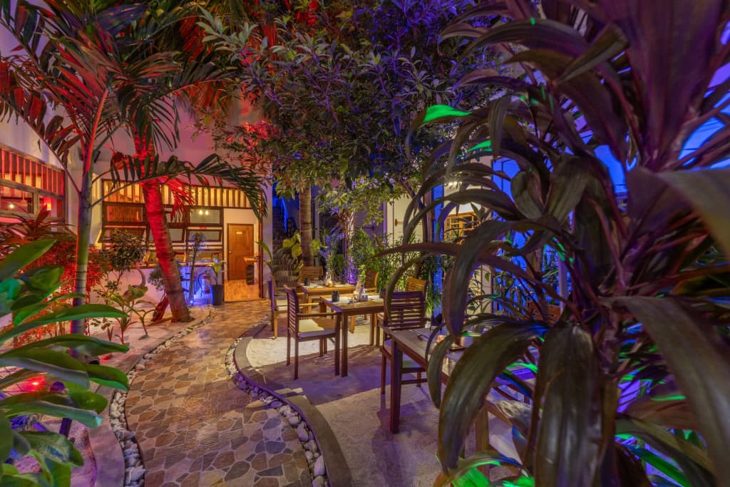 Kamadhoo Inn Guest House - photo 22