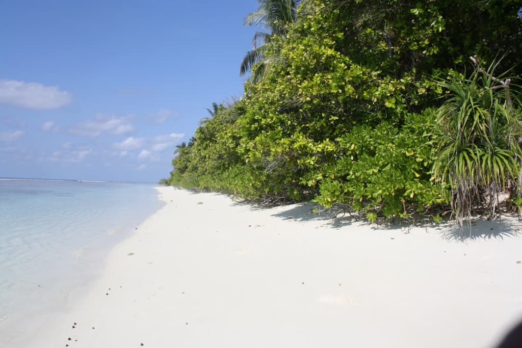 Boutique Beach All Inclusive Diving Hotel - photo 15