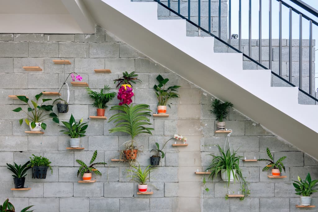 Plants Garden Villa - photo 24