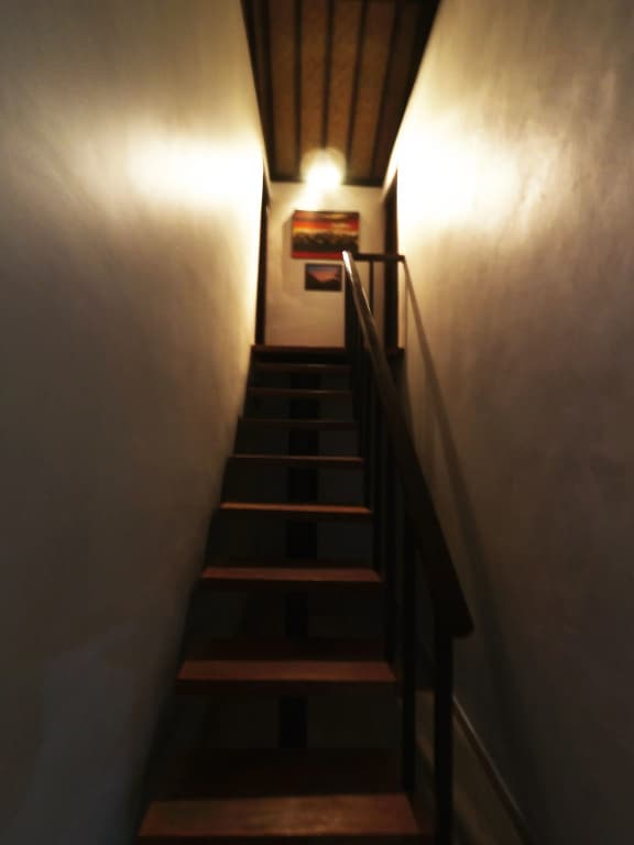Capung Guest house - photo 14