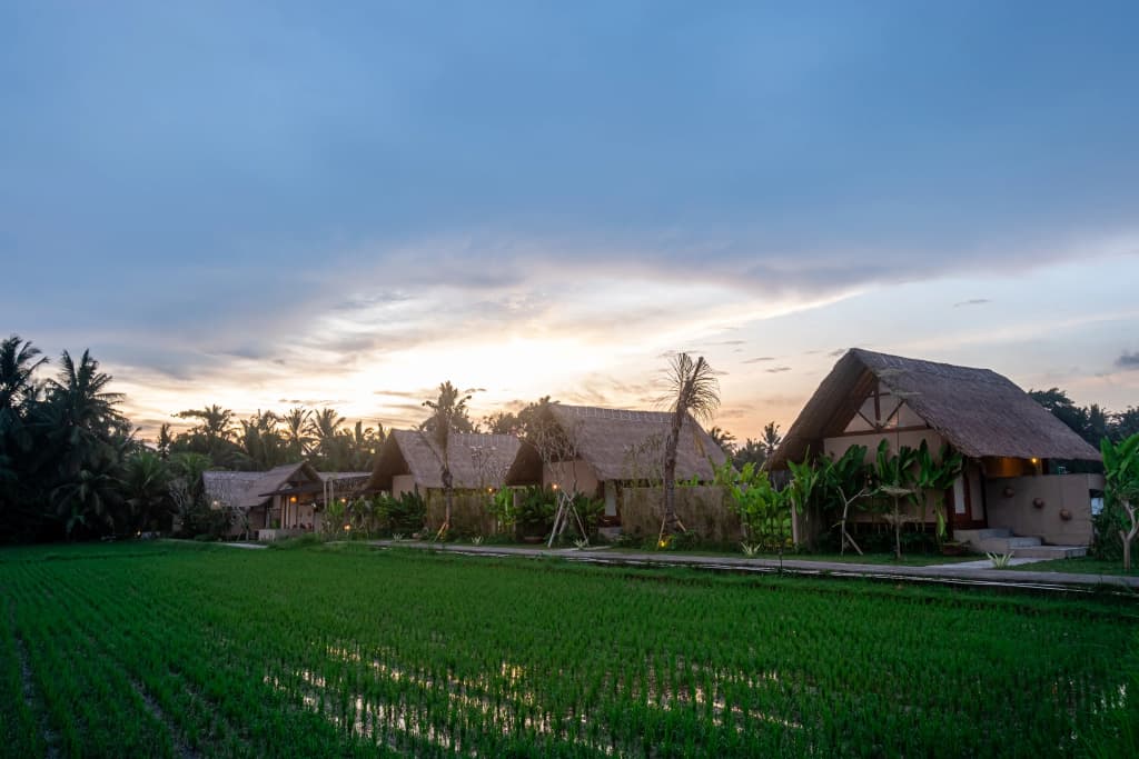 Pondok Mawas Hotel - photo 3