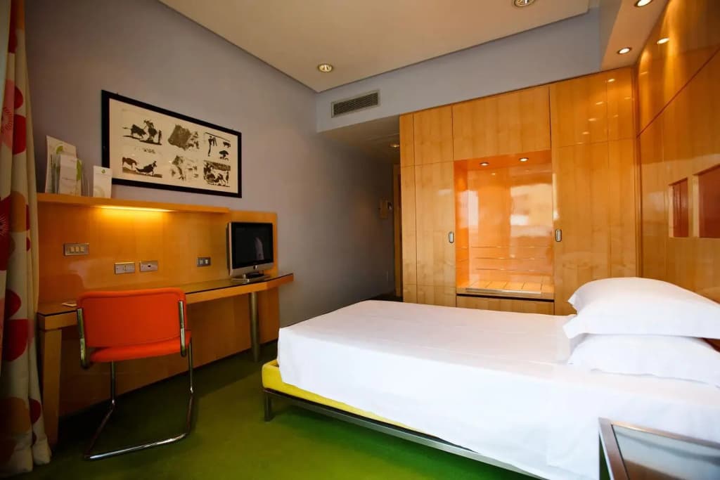 Albani Hotel Roma - photo 37