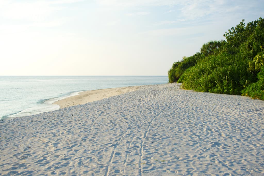 Beach Residence Guest House - photo 12