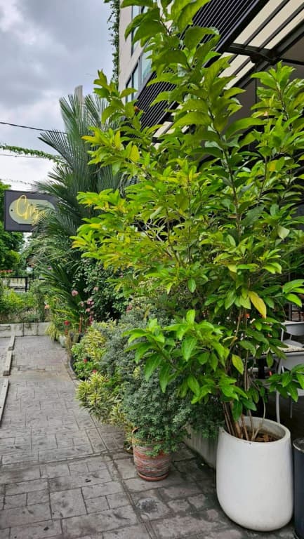 Sachas Hotel Uno Asoke Sukhumvit Bangkok - photo 35