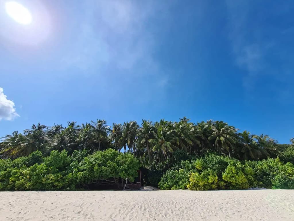 Kamadhoo Inn Guest House - photo 28