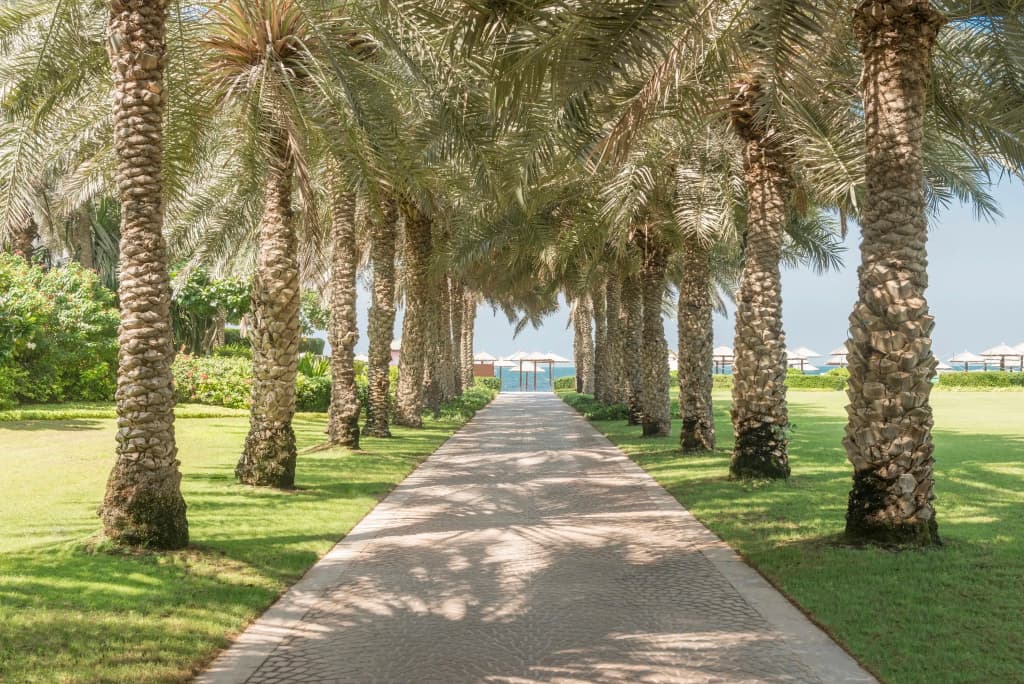 Coral Beach Resort Sharjah Hotel - photo 7