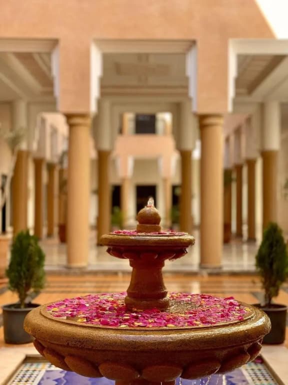 El Olivar Palace Spa - photo 12