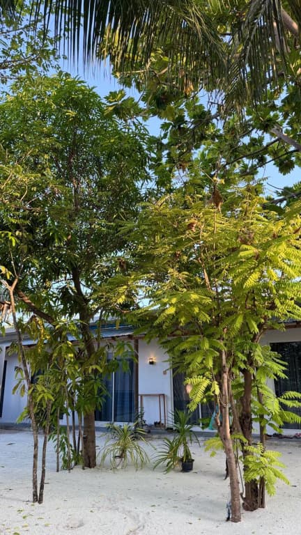 Navaya Dhiffushi Guest house - photo 17