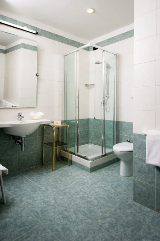 Carlton Capri Hotel - photo 10