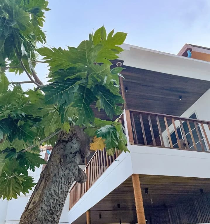 Fatims Beach House Maafushi Hotel - photo 3