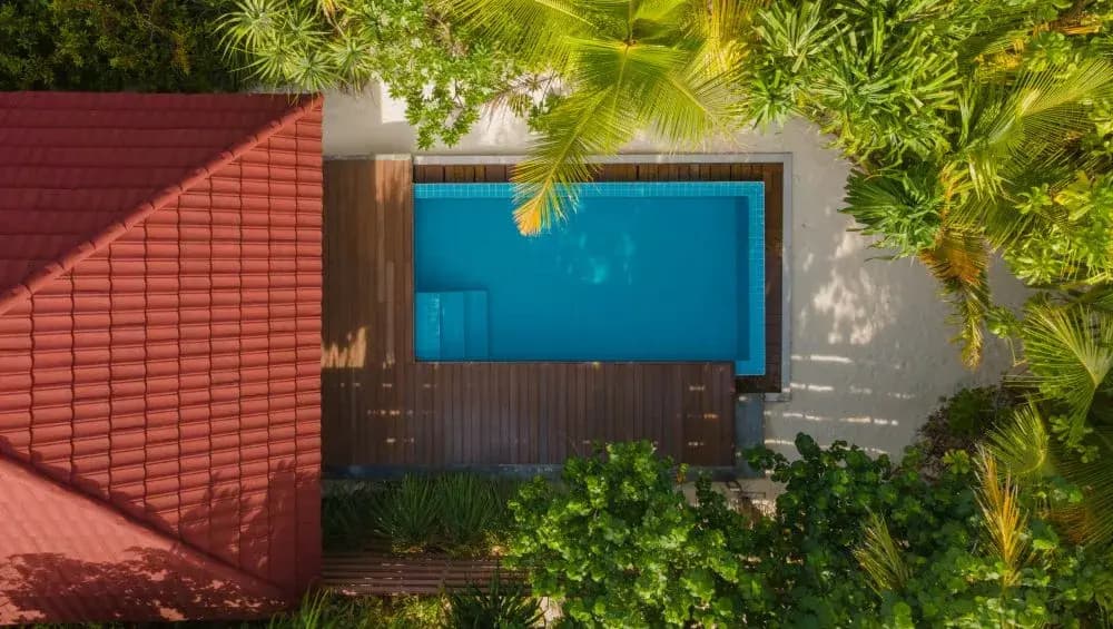 Dhigufaru Island Resort - photo 6