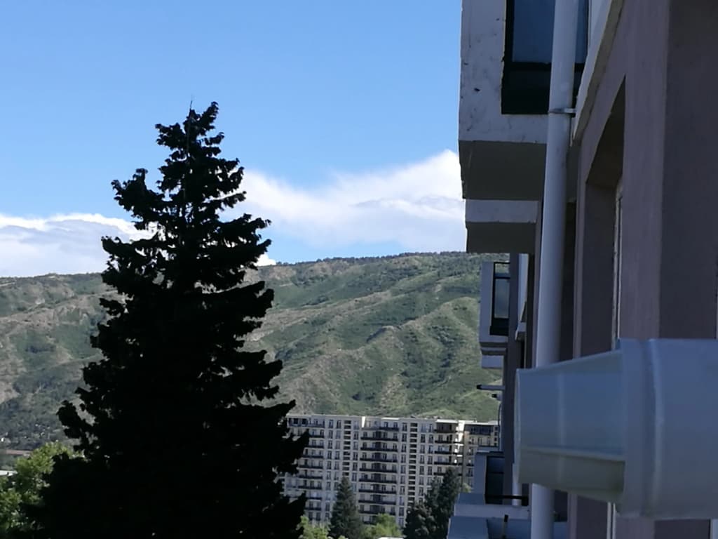 Isani Apartments - photo 5