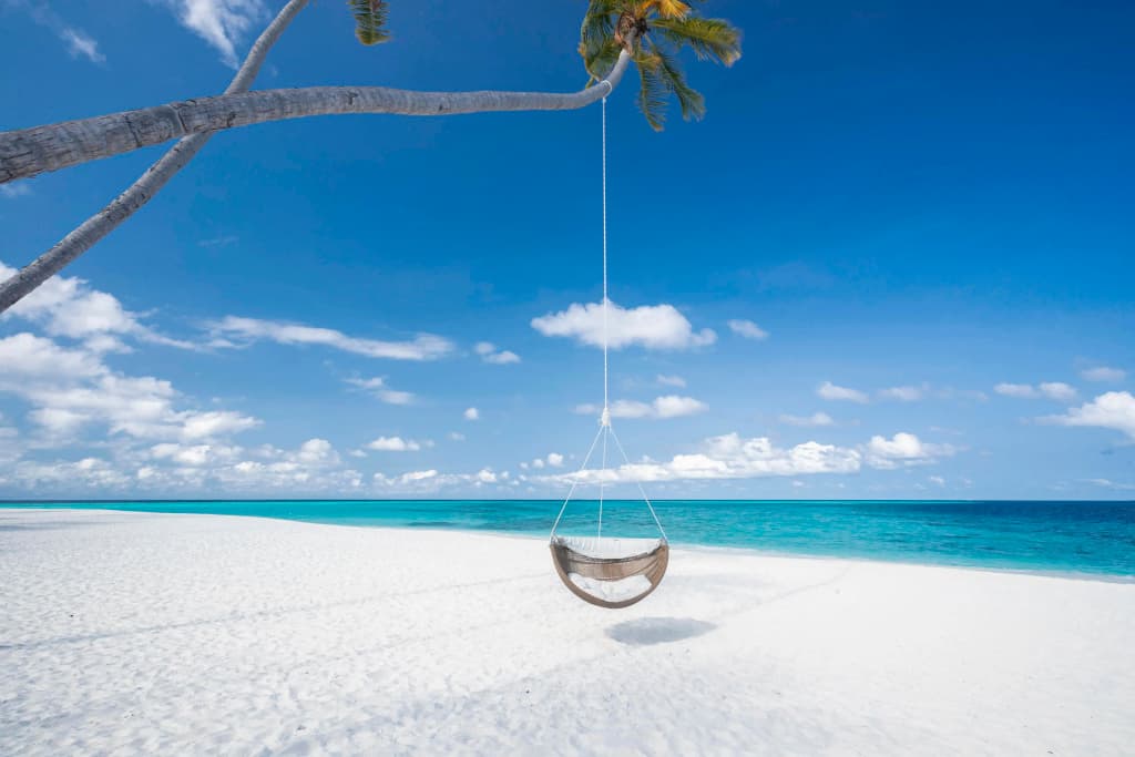 Fushifaru Maldives Resort - photo 9