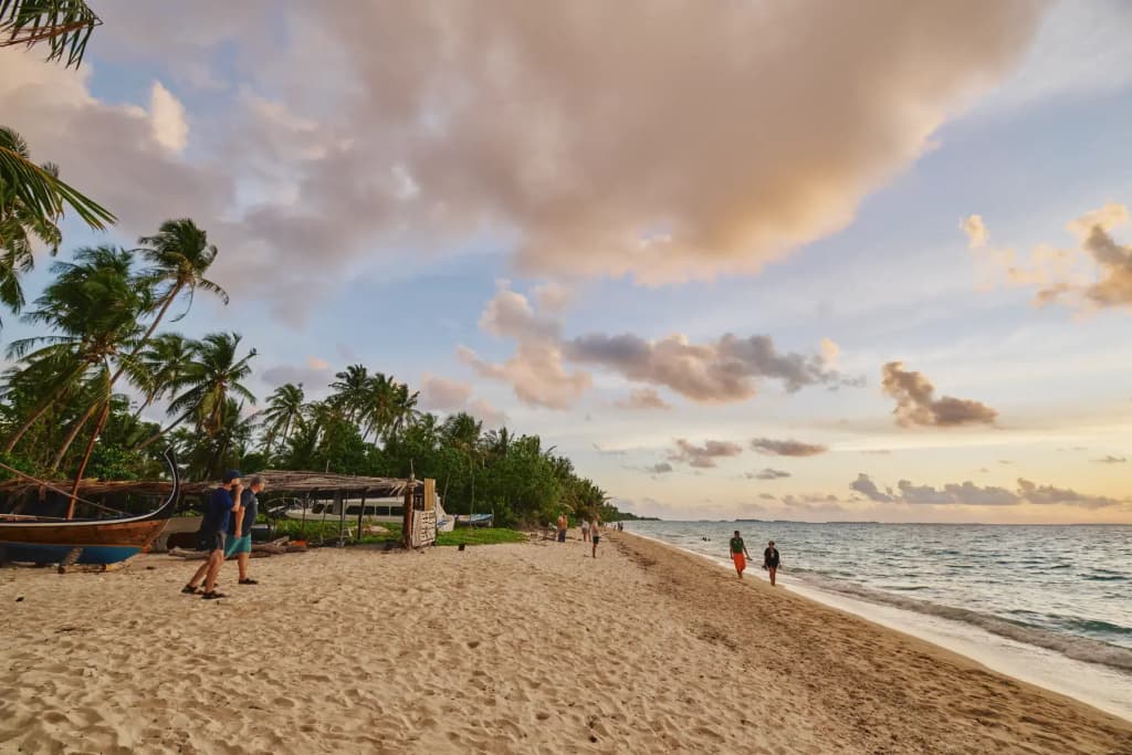 Beach Hotel Dhigurah - photo 6