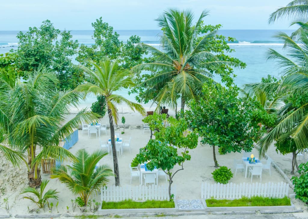 Season Holidays Maldives Guest House - photo 20