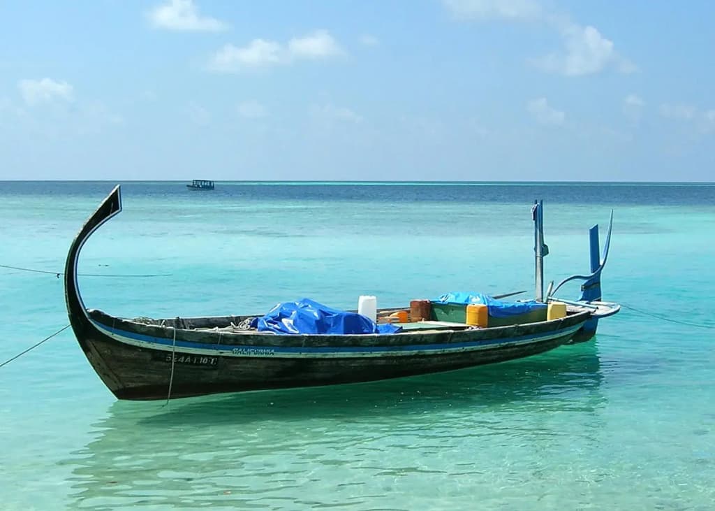 Feridhoo Inn Guest House - photo 20
