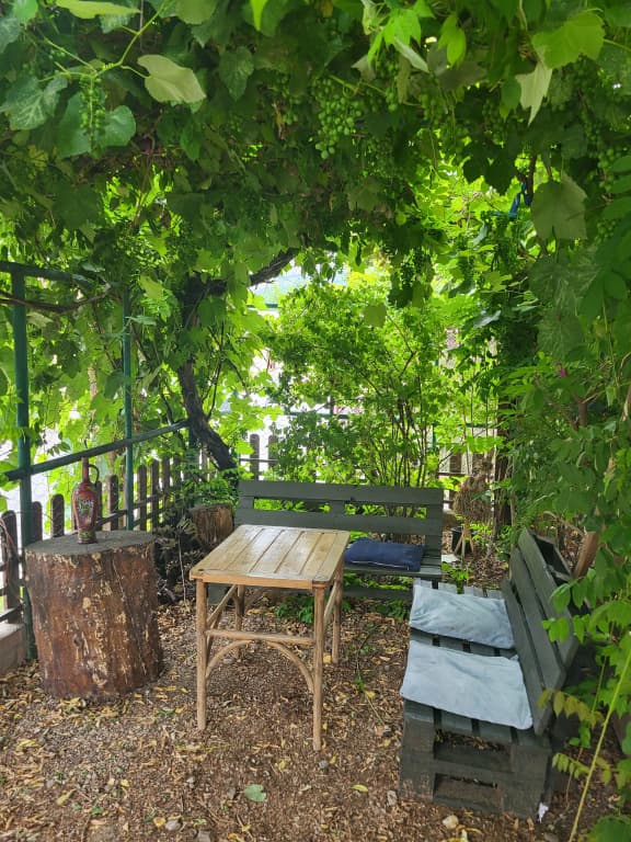 Dmanisi 36 Private House - photo 4