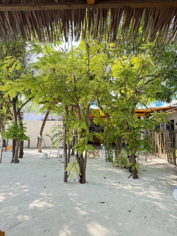 Navaya Dhiffushi Guest house - photo 6
