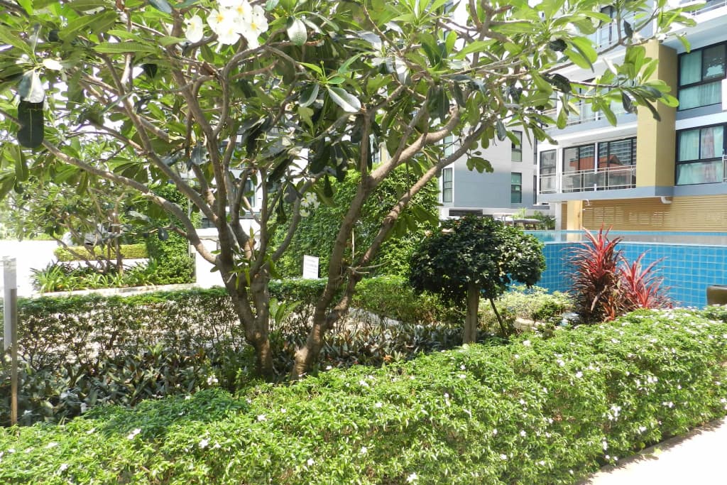 NEOcondo Pattaya Apartments - photo 7