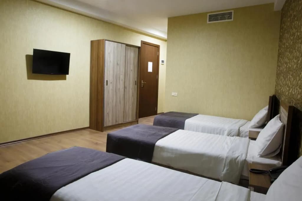 Gureli Hotel - photo 10