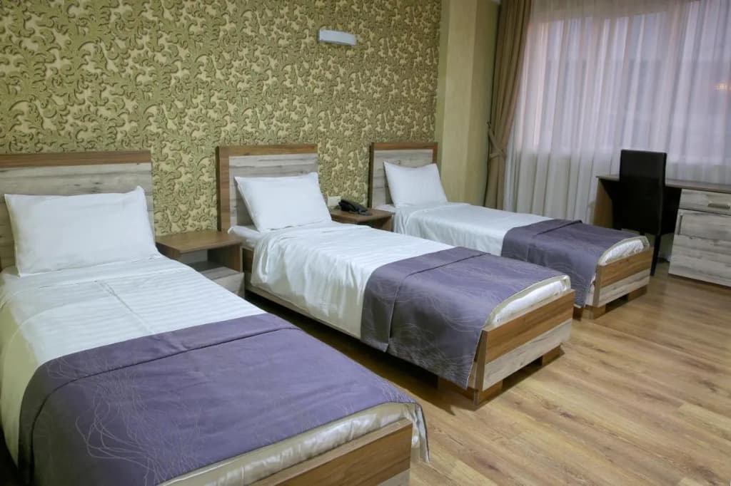 Gureli Hotel - photo 11