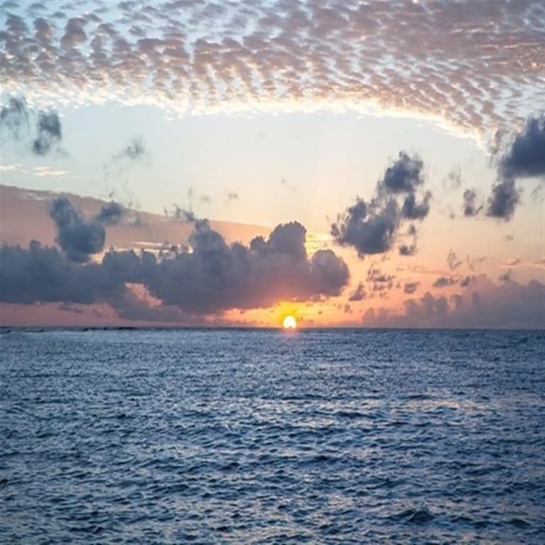 Holiday Grand Maldives Guest House - photo 12