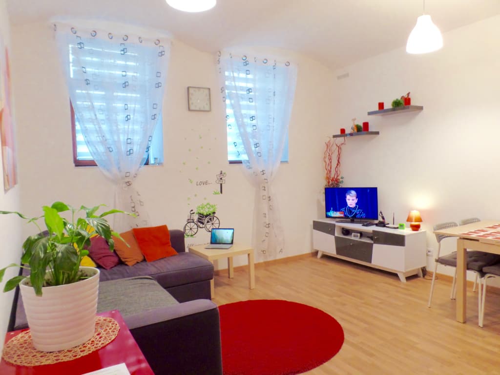 Lower Ground Floor Prague Apartments - photo 8