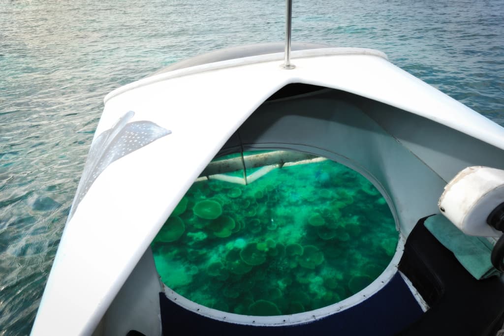Bandos Maldives Resort - photo 13
