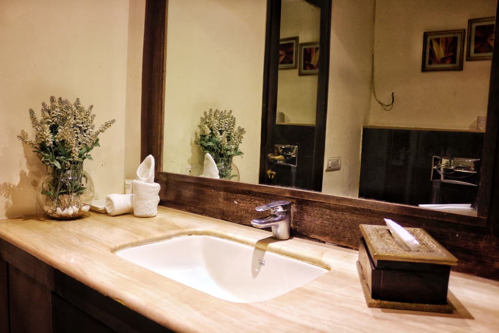 Satvik Resort Hotel - photo 8