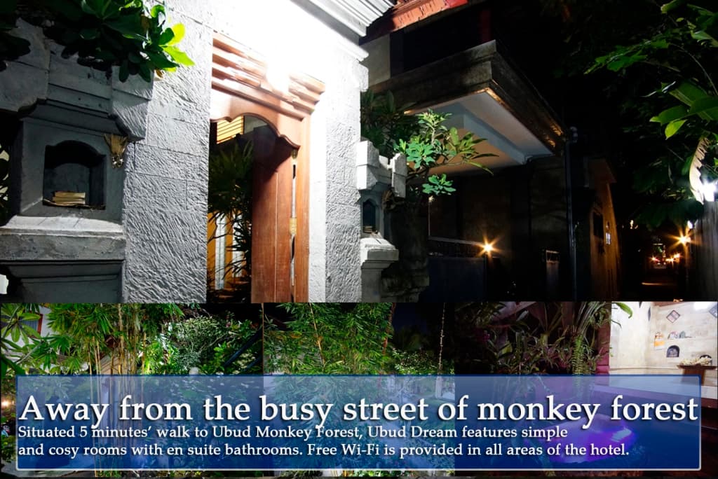 Ubud Dream Guest House - photo 2